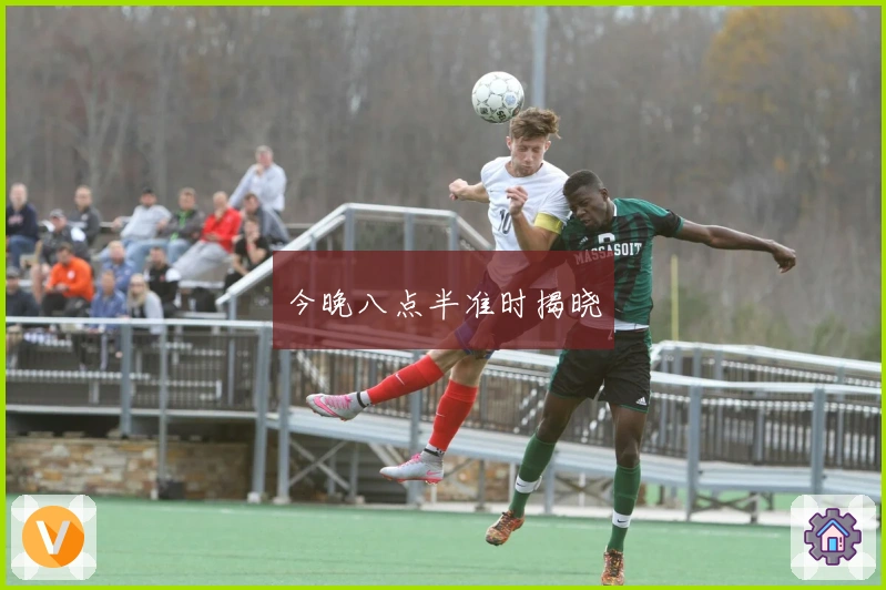 今晚八点半准时揭晓