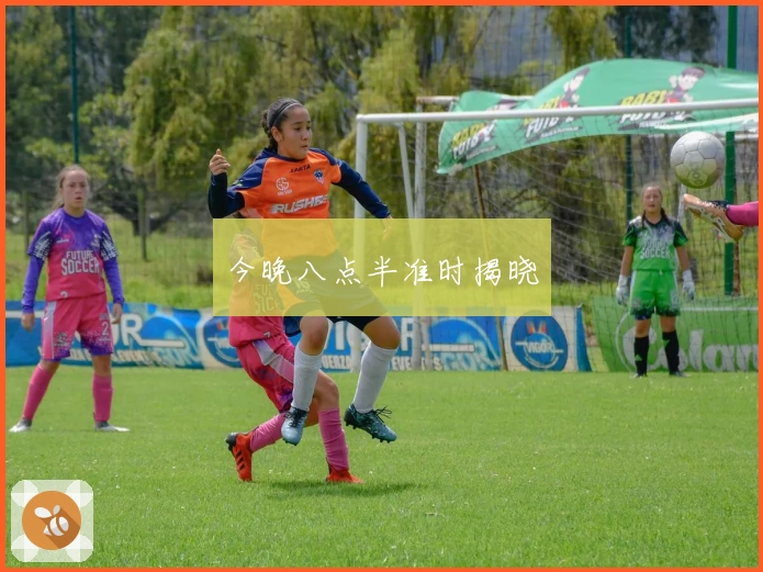 今晚八点半准时揭晓